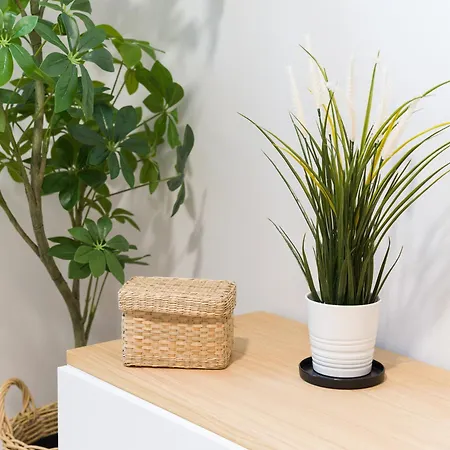 Acogedor En Canteras Apartment *